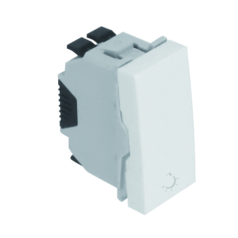 Poussoir à Bascule avec Symbole Lumière - 1 Module